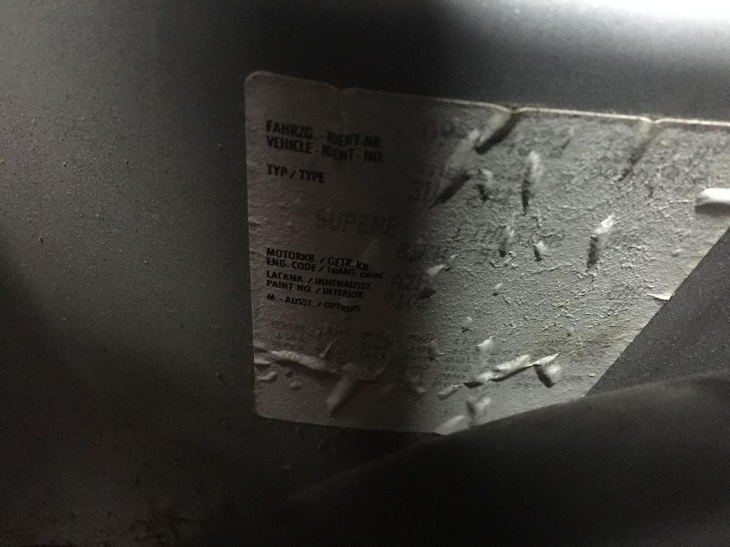 IMG_6021.JPG