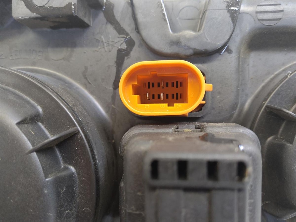 IMG_20240805_163102.jpg