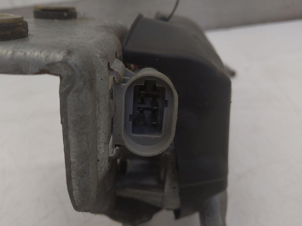 IMG_20240806_082502.jpg
