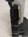 IMG_20240807_093749.jpg