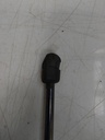 IMG_20240808_113638.jpg