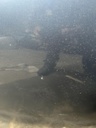 7C18DA39-251F-43A1-A894-3E881584167C.jpeg