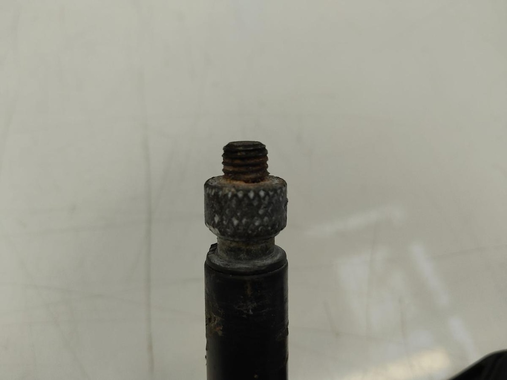 IMG_20240909_105015.jpg