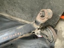 IMG_1267.jpeg