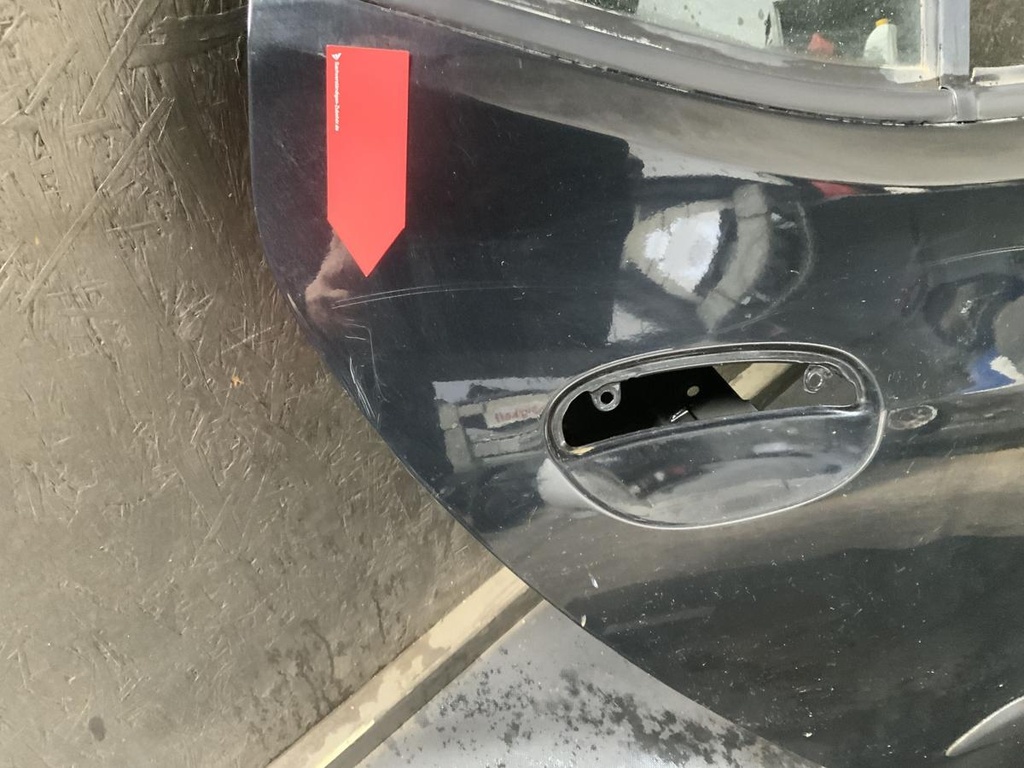 IMG_1313.jpeg