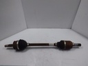 20241014_154816.jpg