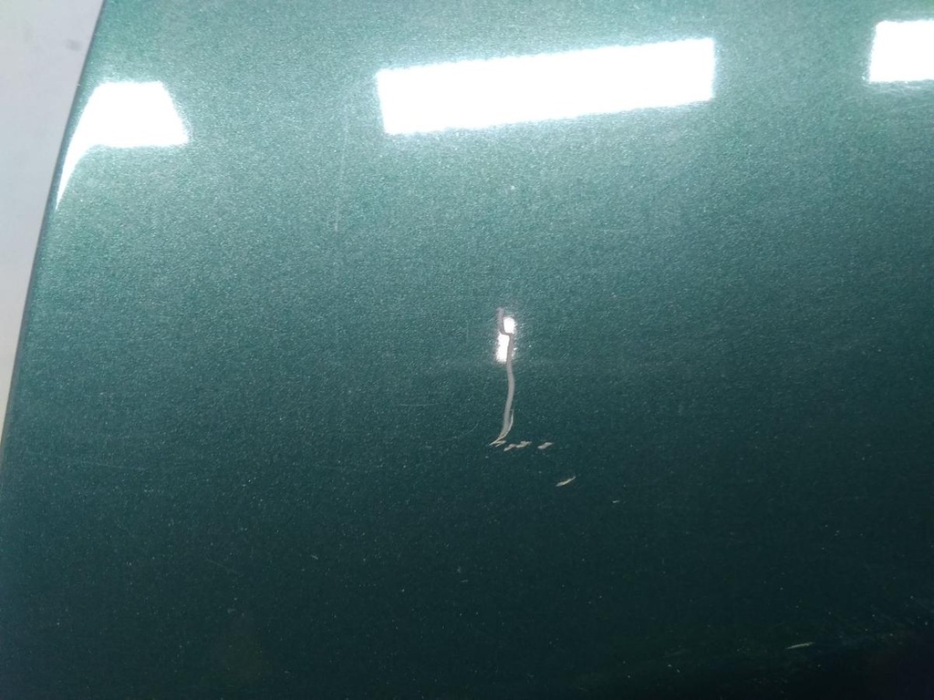 17295815376796438650948901317850.jpg
