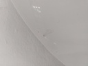 20241104_090612.jpg