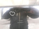 20241112_093602.jpg