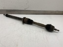 IMG_2077.jpeg