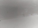 20241114_140334.jpg