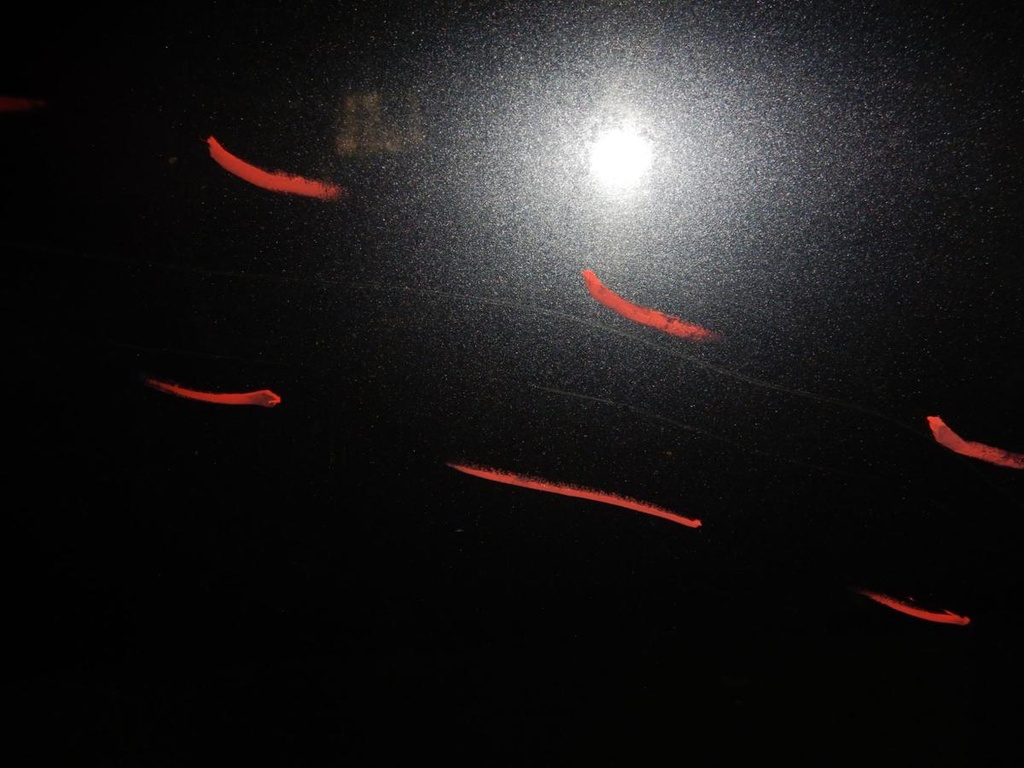 DSCN0954.JPG