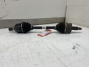 IMG_2159.jpeg