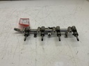 IMG_2224.jpeg