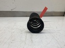 IMG_2215.jpeg