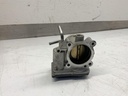 IMG_2313.jpeg