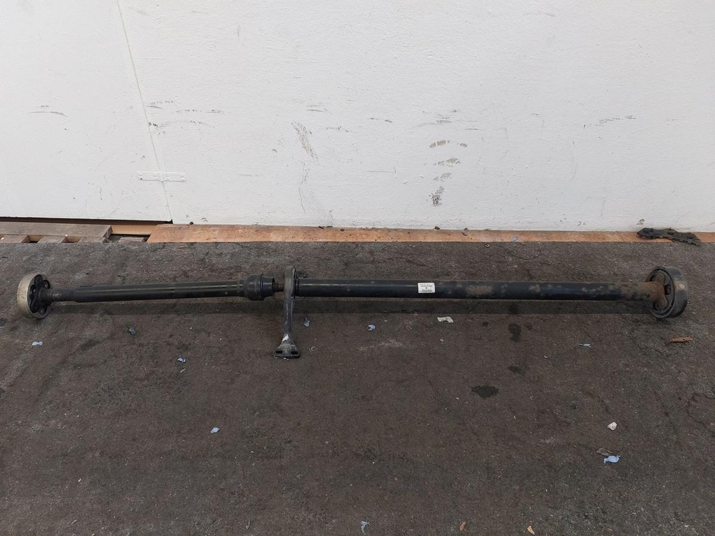20241209_113624.jpg