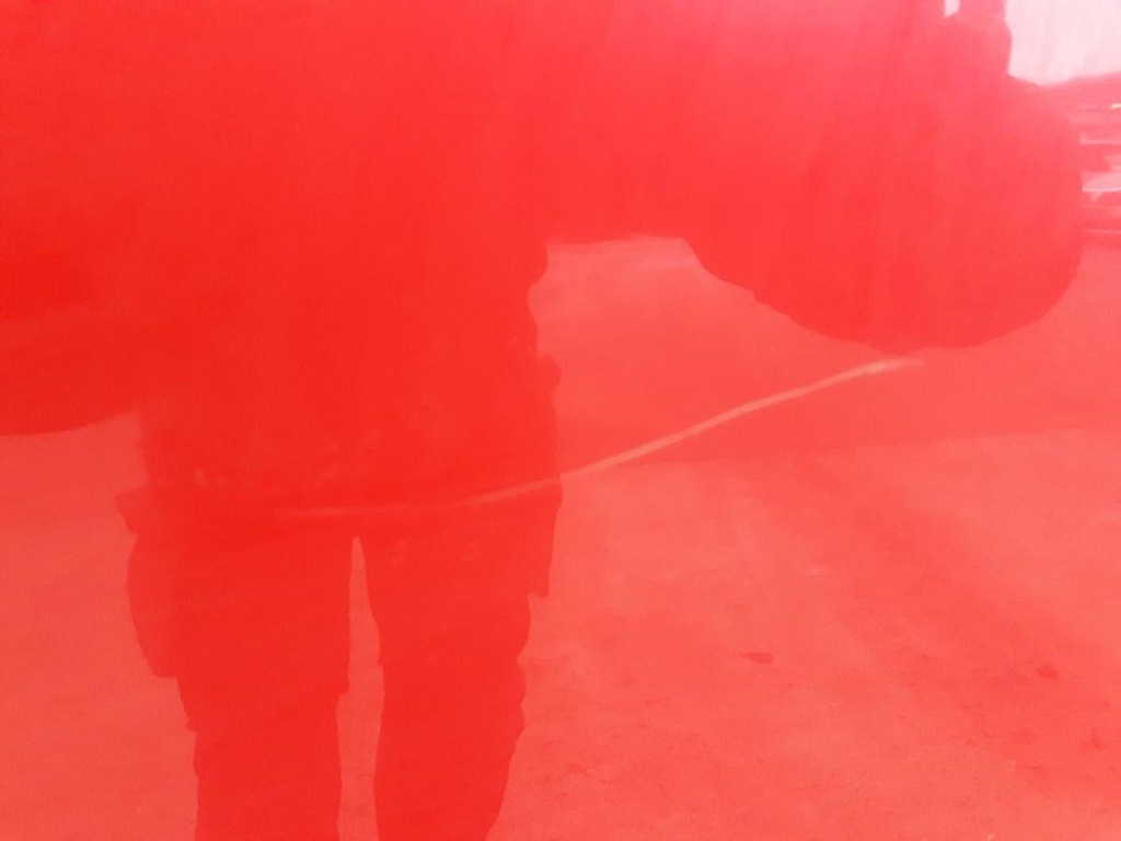 20241212_142443.jpg