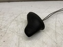 IMG_2596.jpeg