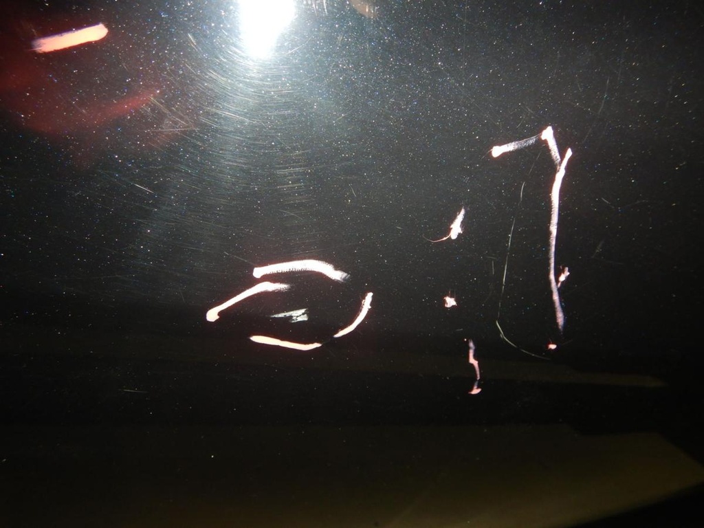 DSCN1376.JPG