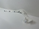 IMG_9253.jpeg