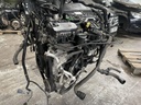 IMG_5195.jpeg