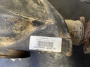 IMG_5239.jpeg