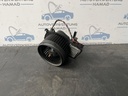 IMG_5501.jpeg