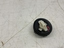 IMG_2775.jpeg