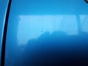 20250113_090818.jpg