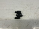IMG_2984.jpeg