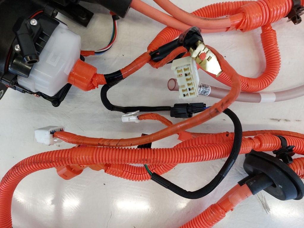 20250121_134856.jpg
