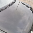 IMG_20250123_135151.jpg
