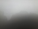 20250130_110354.jpg