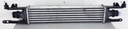 20250128_102610.jpg