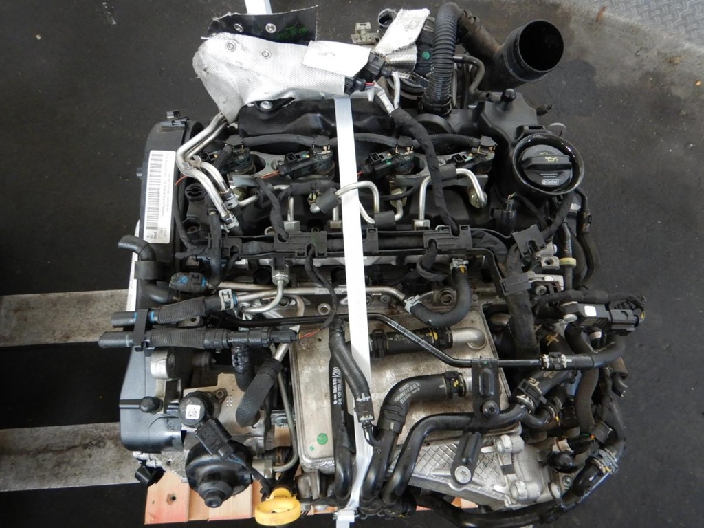 DSCN9463.JPG