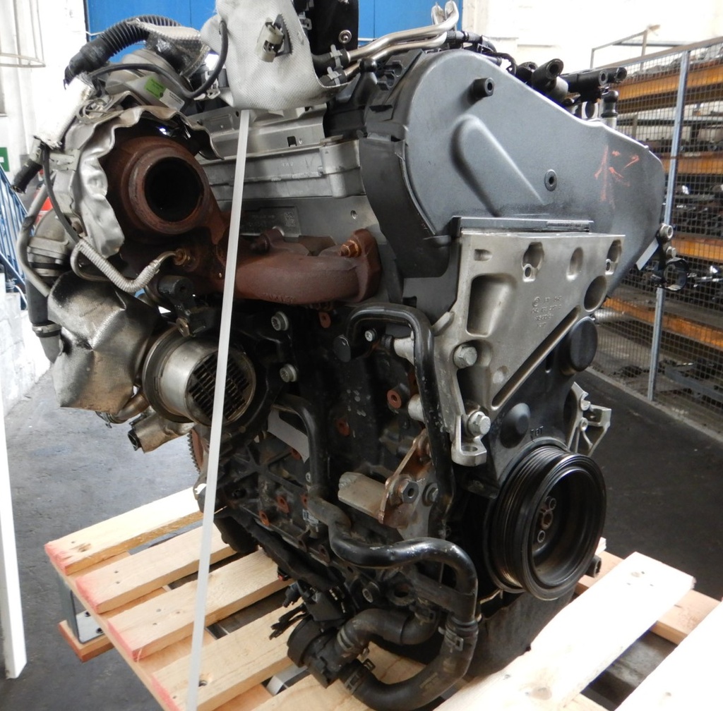 DSCN9460.JPG