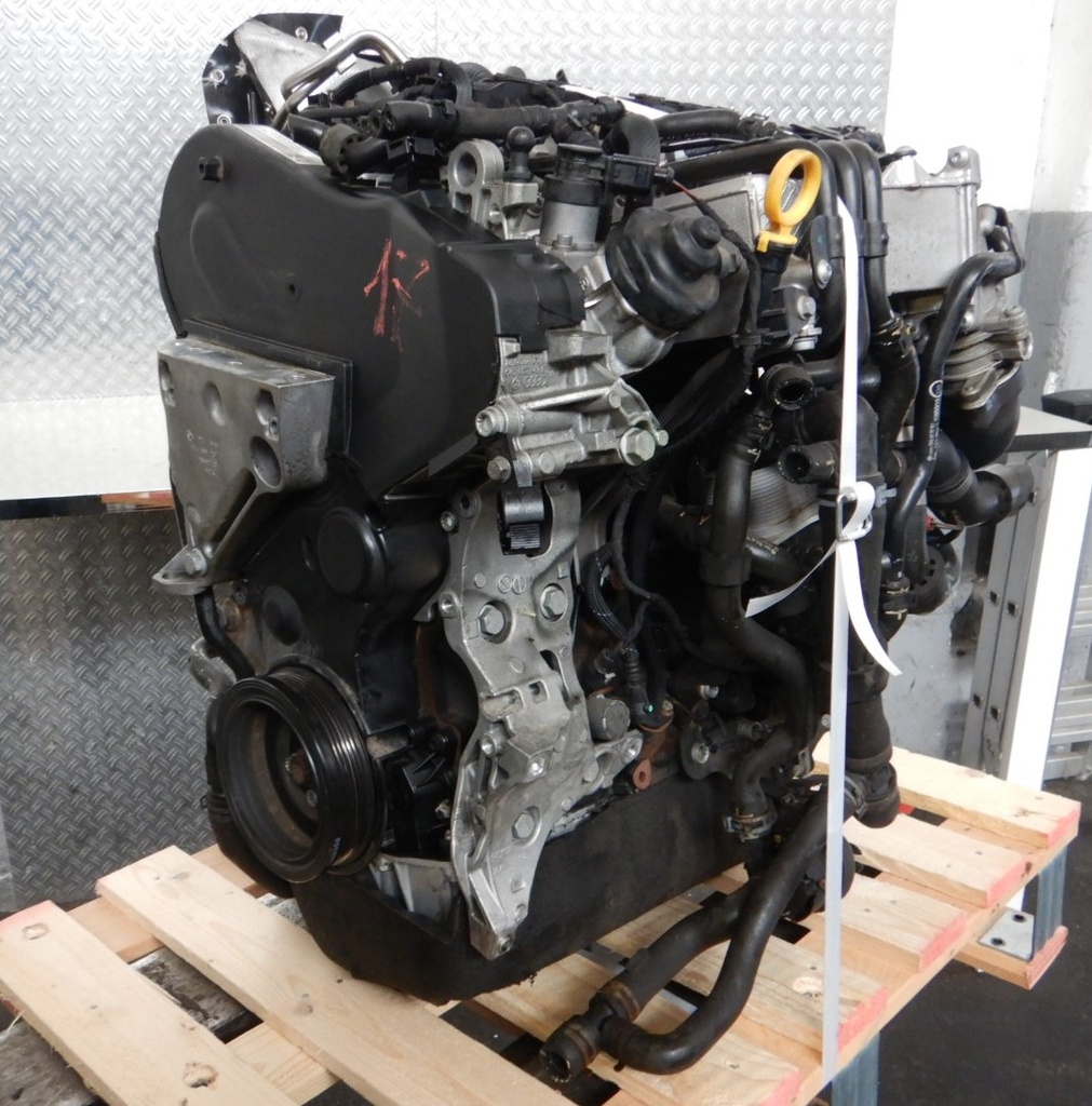 DSCN9455.JPG