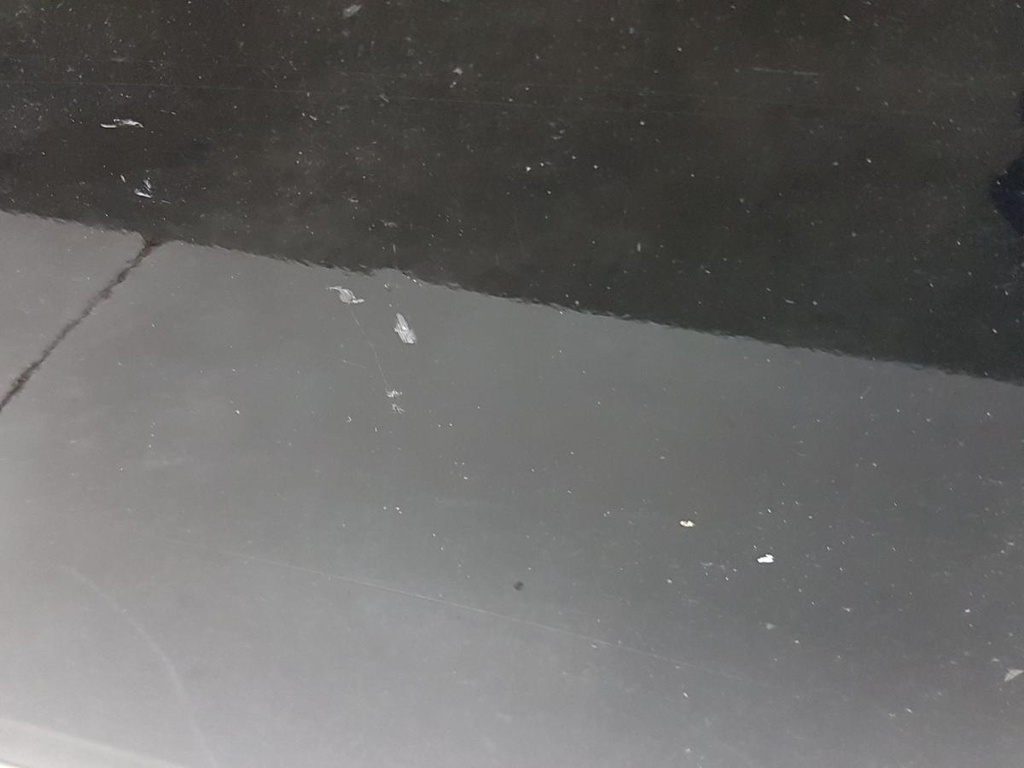 20250207_104859.jpg