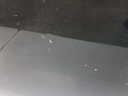 20250207_104859.jpg
