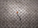 20250211_111630.jpg