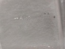 20250212_141351.jpg