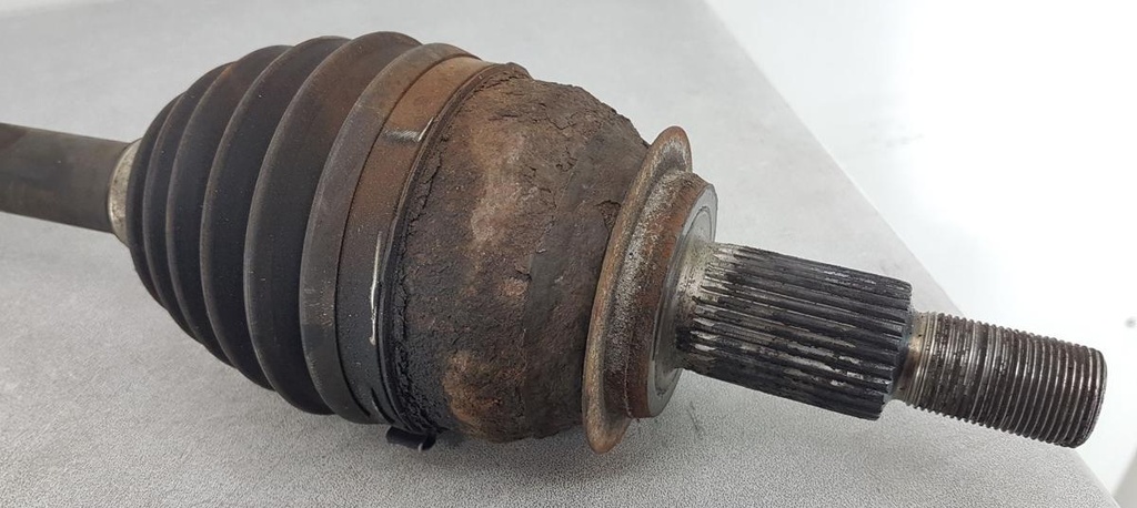 20250228_134458.jpg