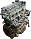IMG_3937.png