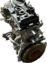 IMG_3948.png
