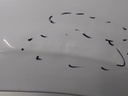 1741253502265225873345333409781.jpg