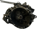 IMG_4040.png