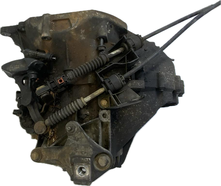 IMG_4041.png