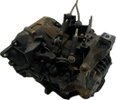 IMG_4043.png