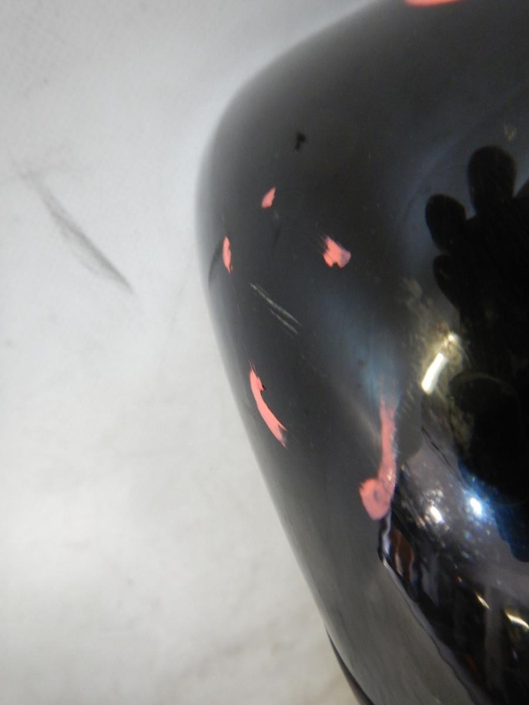 DSCN2819.JPG